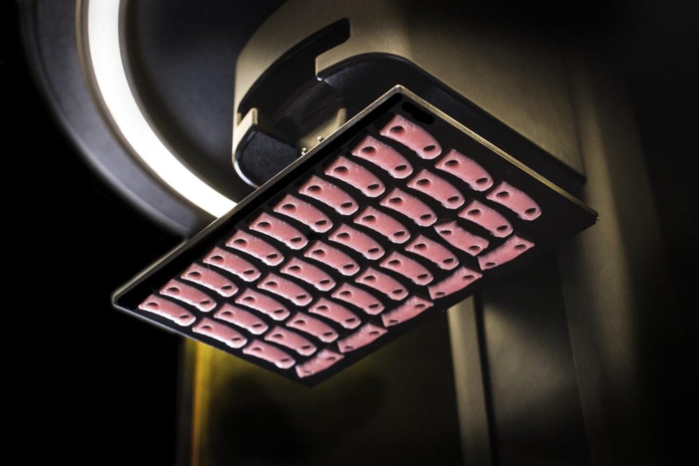 3D Printed Dental Gingiva Masks